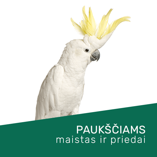 Maistas ir priedai naminiams paukščiams